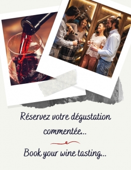 Dégustation commentée de nos vins